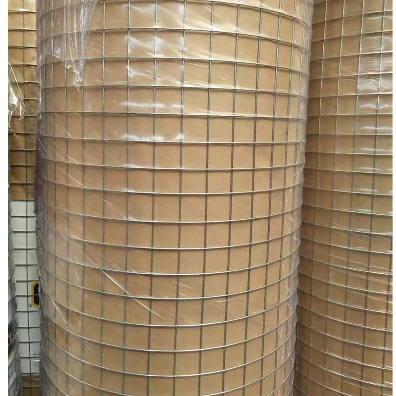 1/4" x 1/4" PVC Coated Welded Wire Mesh Manufacturer&Exporter
