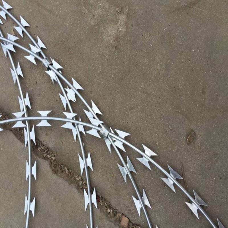 High Security Galvanized Razor Barbed Wire Fence for Secure Enclosures Wire Fence Panel