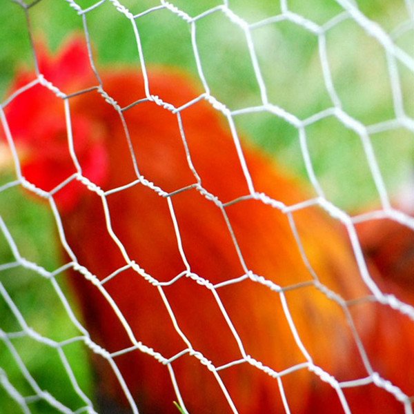 Hexagonal mesh wire netting single double twisted 1" 1/2" 3/4" Chicken mesh net Hot dip galvanized 0.7mm field farm animal fence
