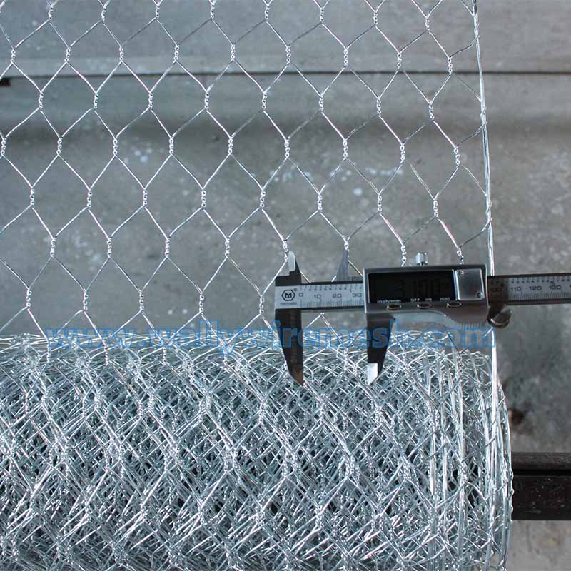 Hexagonal mesh wire netting single double twisted 1" 1/2" 3/4" Chicken mesh net Hot dip galvanized 0.7mm field farm animal fence