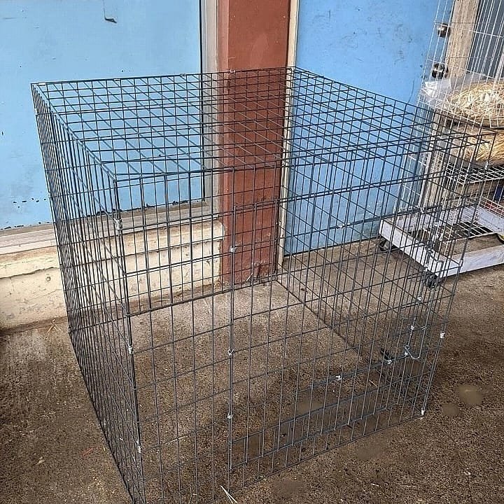 Square chicken cage for Cockfighting Roosters
