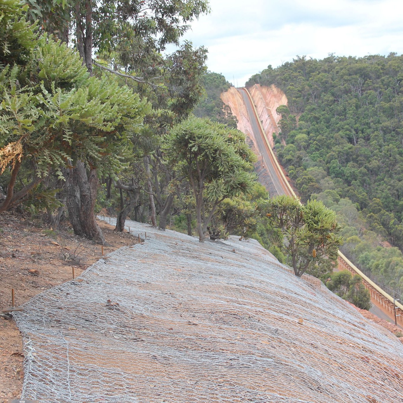 High Tensile Rockfall Netting SNS Slope Protection Mesh Hexagonal Steel Wire Mesh with Cable Ropes