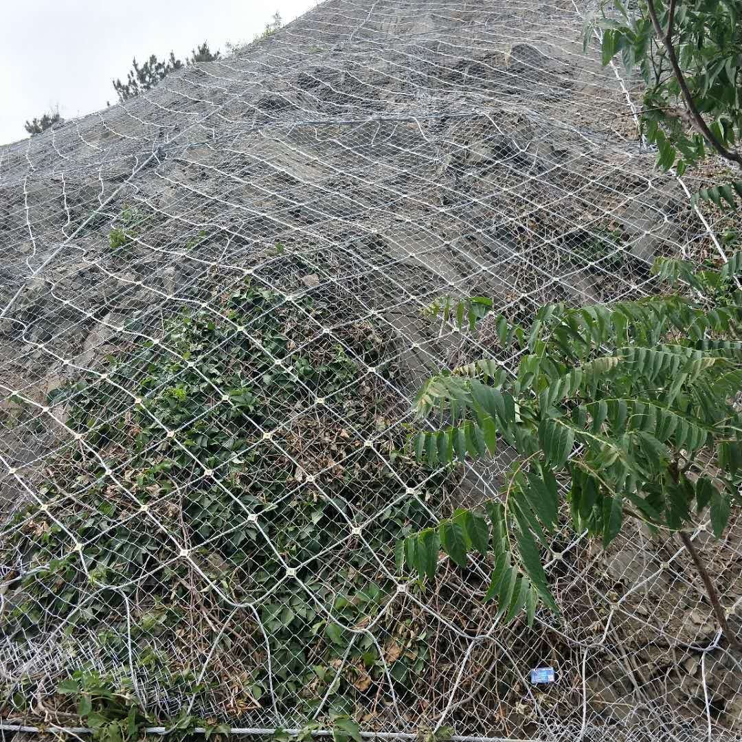 High Tensile Rockfall Netting SNS Slope Protection Mesh Hexagonal Steel Wire Mesh with Cable Ropes