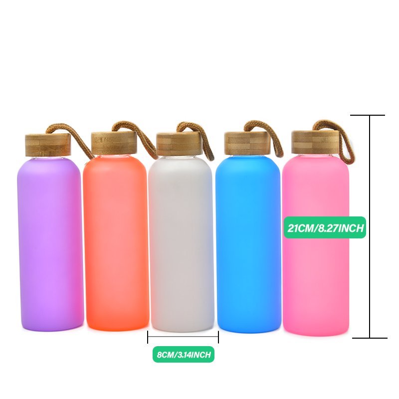 20oz frosted multi color sublimation blanks Borosilicate glass water bottle glass cups with rope bamboo lid