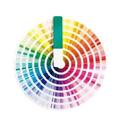 Color