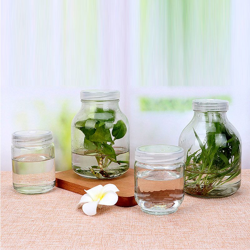 Wholesale transparent tissue culture plant glass bottles with plastic caps for strain tissue culture Cordyceps reagent bottles