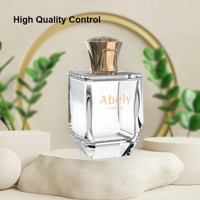 Wholesale Empty Perfume Bottles 100ML Parfum Spray Glass Fragrance Bottles Perfume Bottles for sale