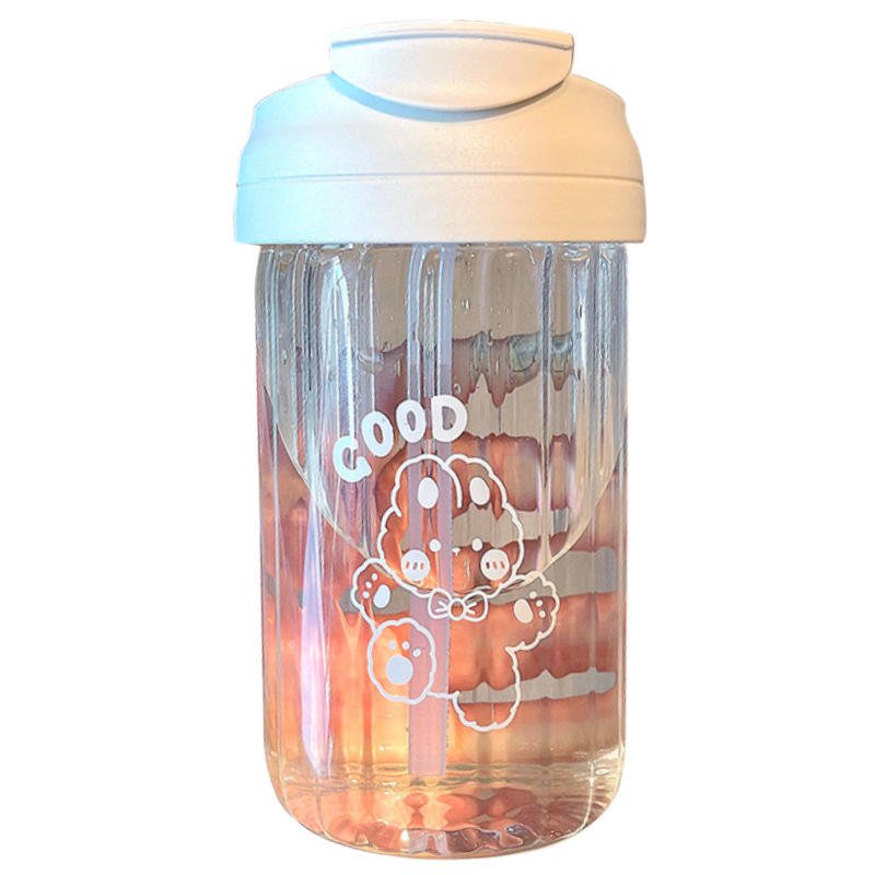 Glass Straw Double Drink Cup Large Capacity Cup Girl's Simple High Temperature Resistant Gift Glass Bottle