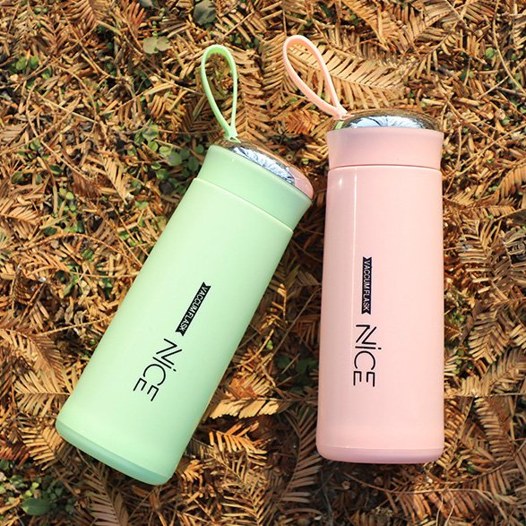 Promotional Business Gift 400ml Ins Leakproof Double Wall Bpa Free Glass Water Bottle with Strap with Custom Logo