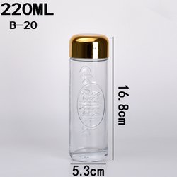 B-20