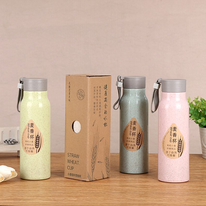 Manufactory wholesale wheat straw promotional cup gift double-deck plastic cup