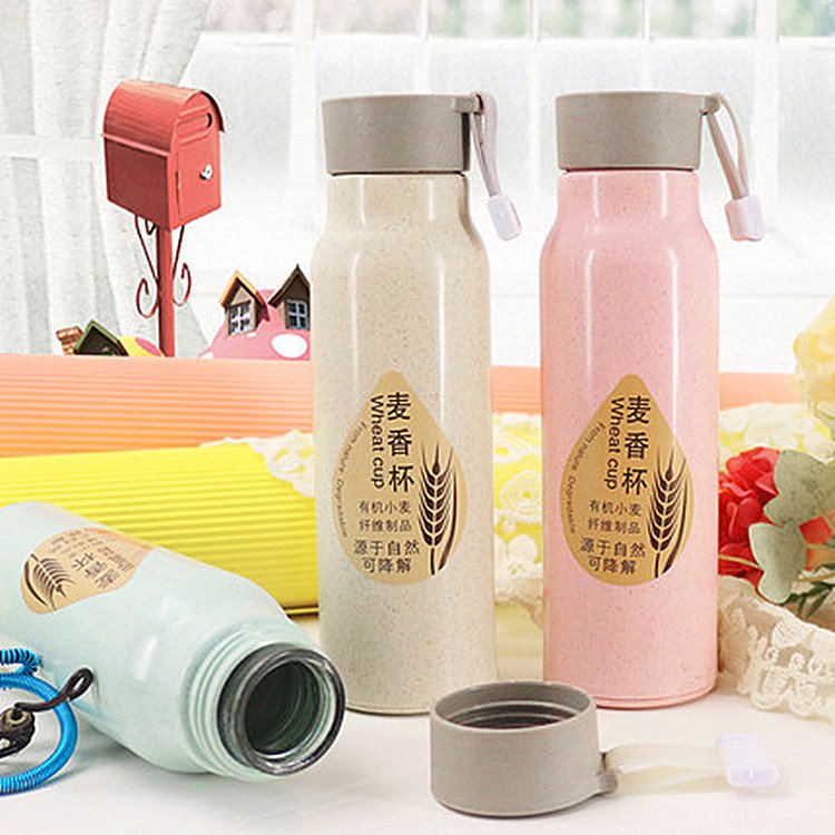 Manufactory wholesale wheat straw promotional cup gift double-deck plastic cup