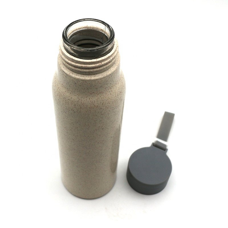 300ML Wholesale China manufacturer custom double wall insulated wheat glass drinking water bottle