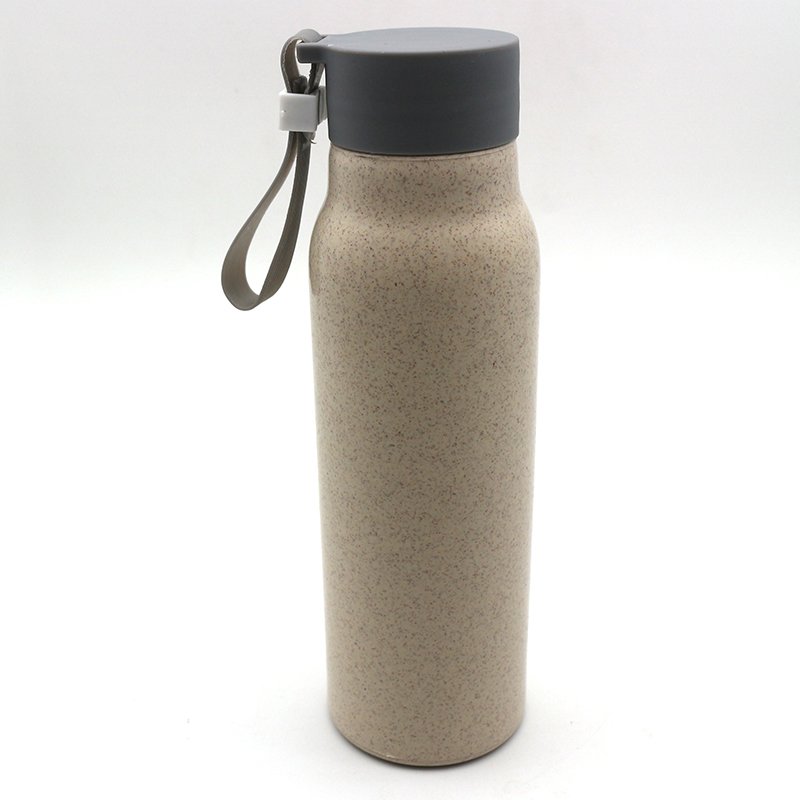 300ML Wholesale China manufacturer custom double wall insulated wheat glass drinking water bottle