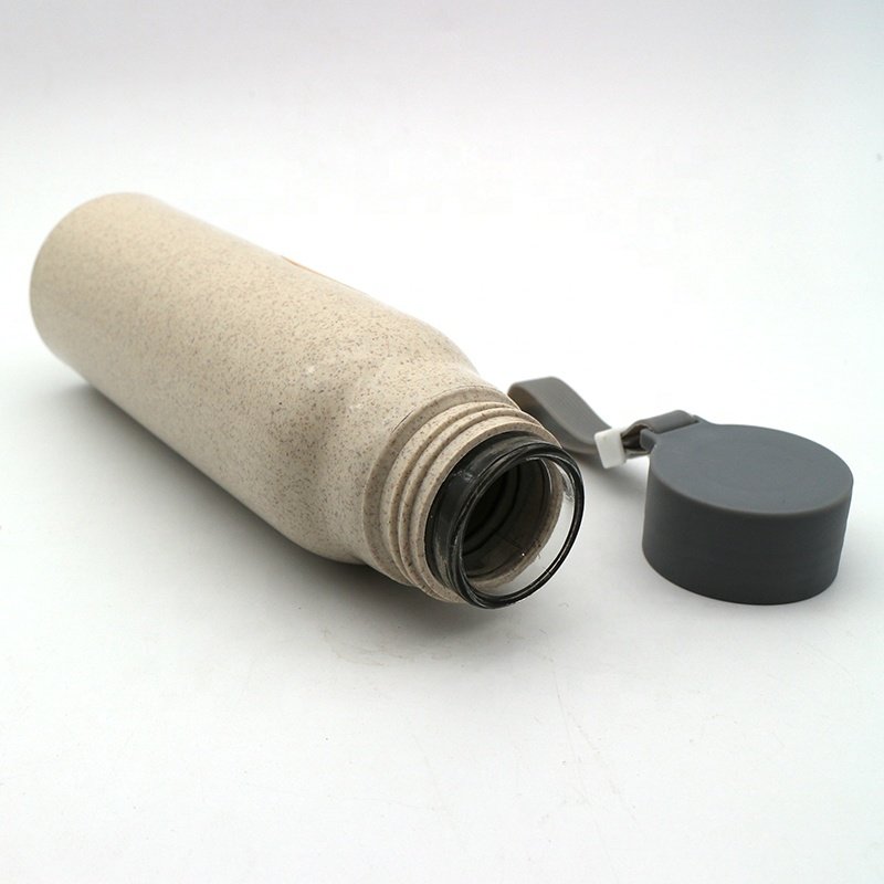 300ML Wholesale China manufacturer custom double wall insulated wheat glass drinking water bottle