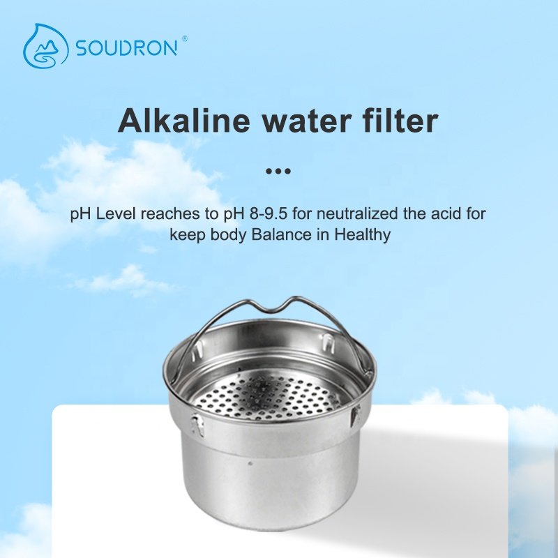 SOUDRON 300ml Bio Energy Nano Alkaline Flask pH 8.5 Alkaline Water Purifier Alkaline Water Bottle With Single Filter