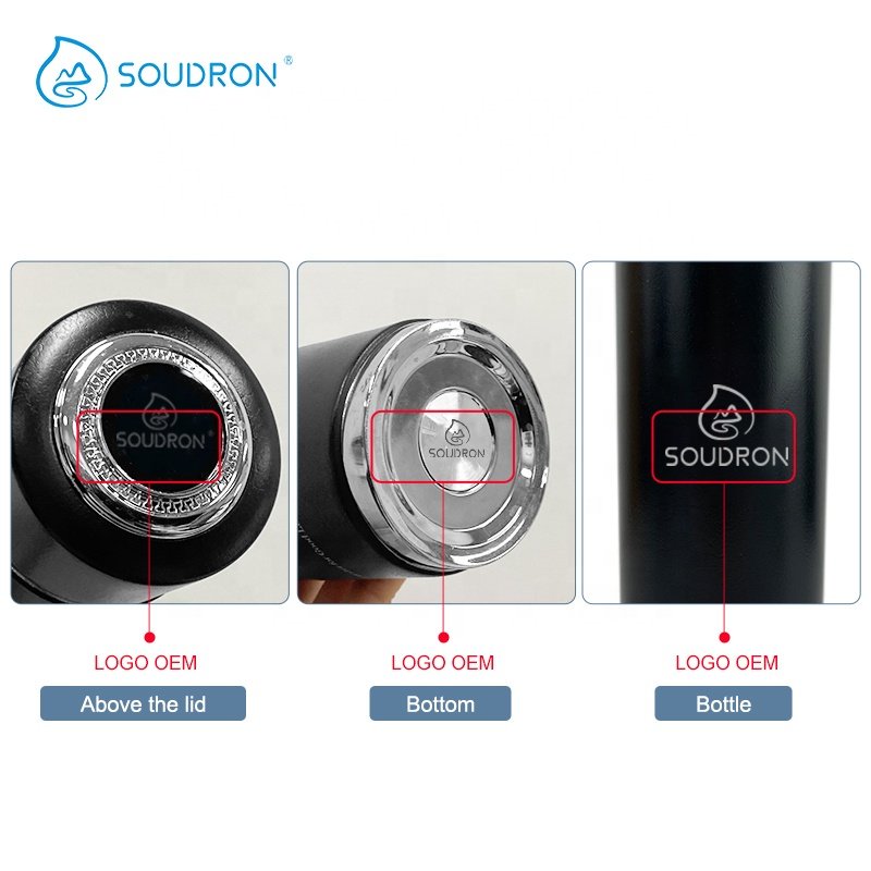 SOUDRON 300ml Bio Energy Nano Alkaline Flask pH 8.5 Alkaline Water Purifier Alkaline Water Bottle With Single Filter