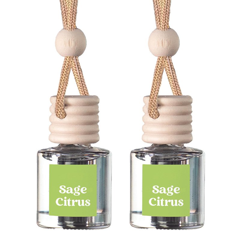 Tik Tok Hot Selling Car Air Decor Fragrance Perfume Accessories Scent Popular Hanging Pendant Glass Bottle Car Freshener