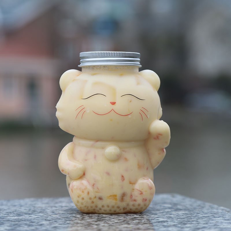 Bubble Fruit 16oz Empty Beverages PET Plastic Milk Tea Glass Juice Bottles