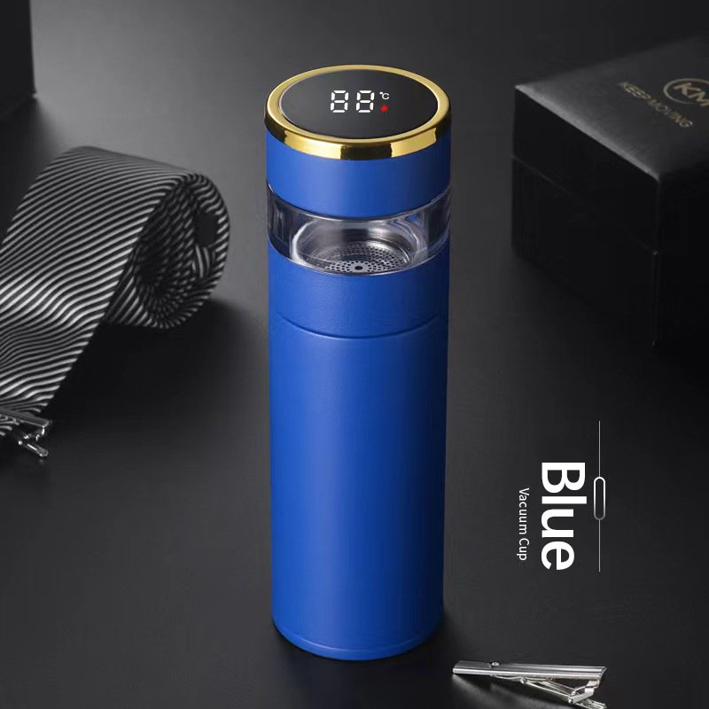 2024 New Design Double Wall Tea Brewing Vessel Smart Water Bottle With Lid Led Temperature