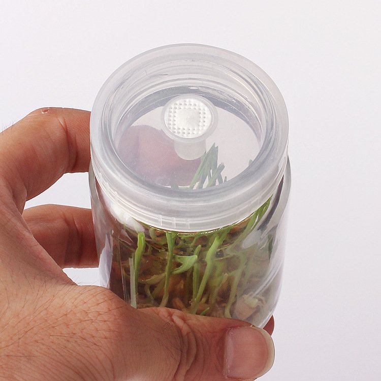 WHOLESALE Clear Tissue Culture Plant Glass Bottle with Plastic Cap
