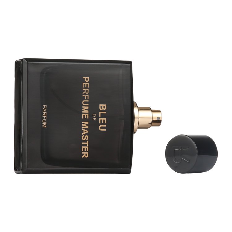 Wholesale Perfume Bottle Minimalistic Pump Spray Custom Logo 100ml Luxury Classic Empty Glass Perfume Bottle With Cap