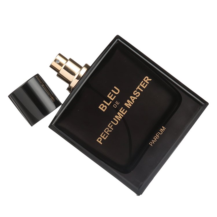 Wholesale Perfume Bottle Minimalistic Pump Spray Custom Logo 100ml Luxury Classic Empty Glass Perfume Bottle With Cap