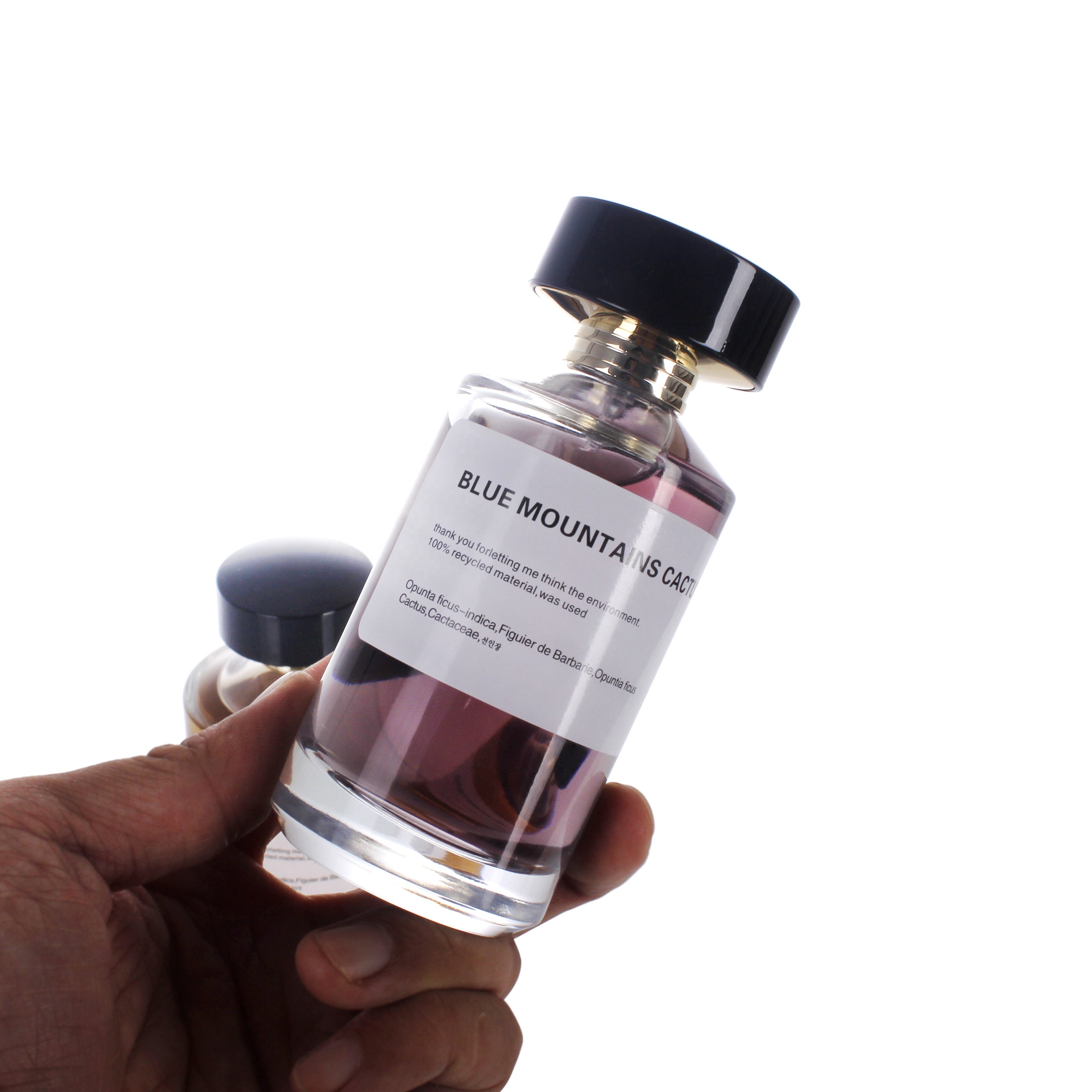 Luxury 50ml 100ml 250ml Large Perfume Bottles Spray Glass Empty Perfume Bottle With Cap
