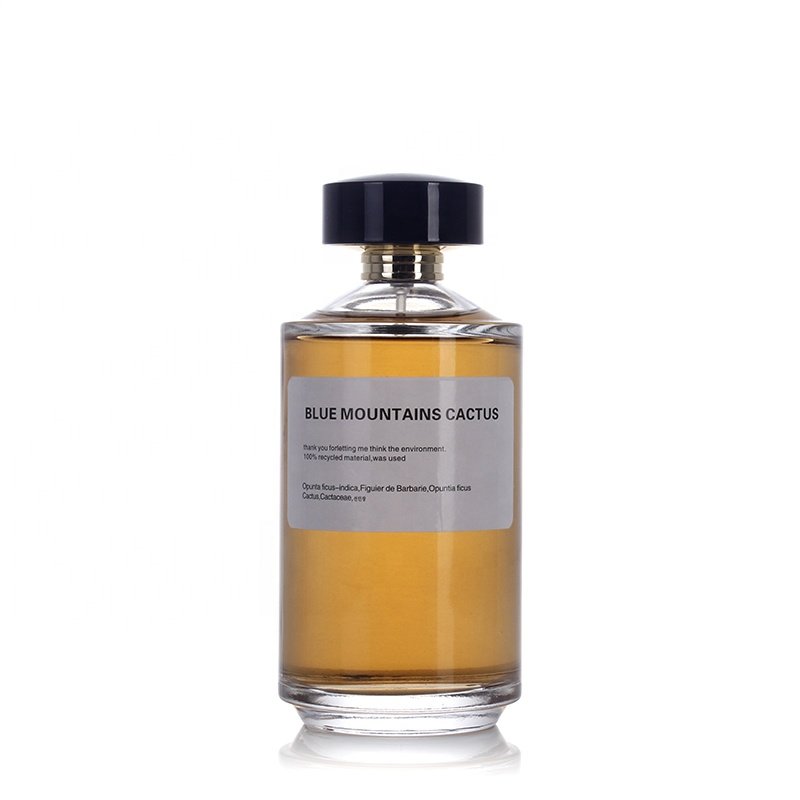 Luxury 50ml 100ml 250ml Large Perfume Bottles Spray Glass Empty Perfume Bottle With Cap