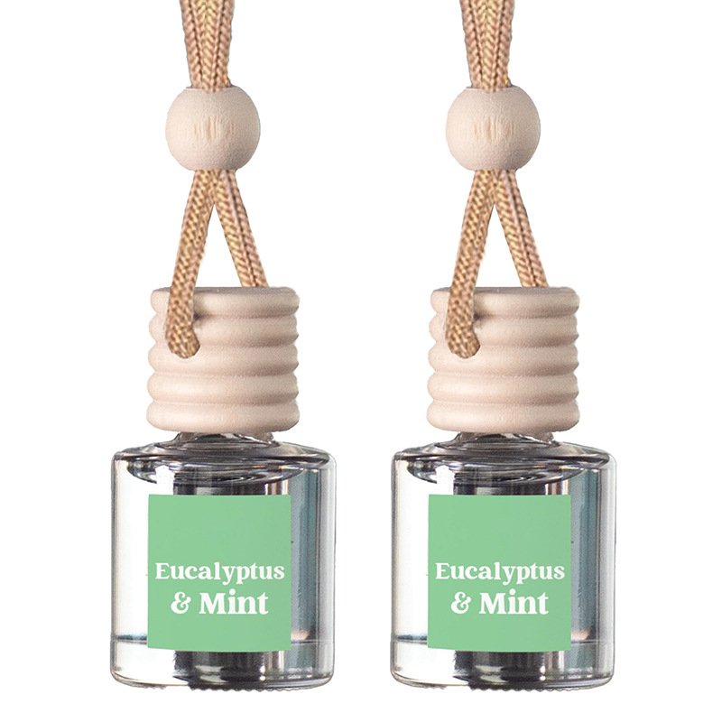 Tik Tok Hot Car Air Decor Fragrance Perfume Scream Cake Scent Popular Hanging Pendant Glass Bottle Car Freshener