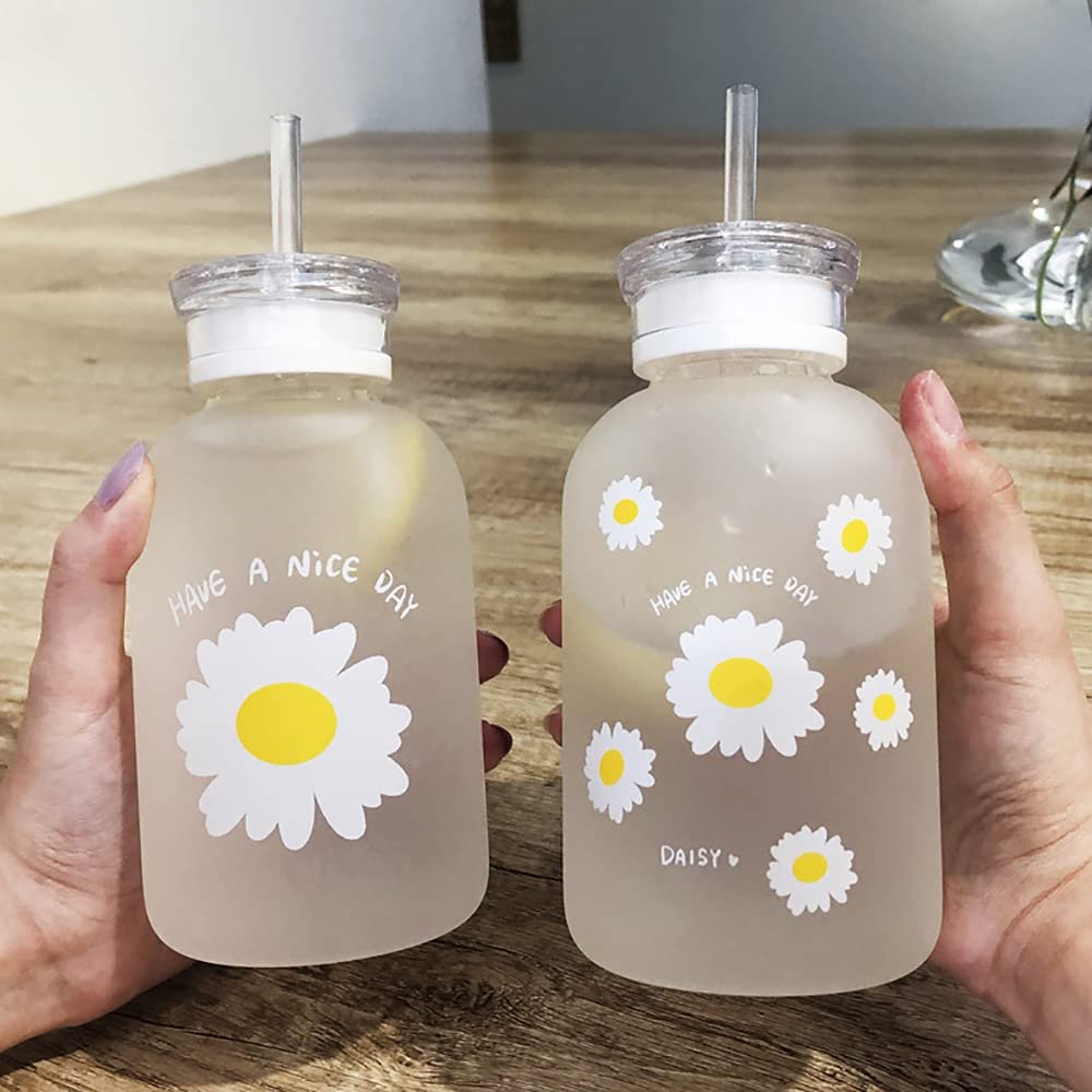 INS Creative Design 480ml Matte Wide Mouth Easy-To-Clean Borosilicate Hydrochloric Acid Glass Outdoor Sports Glass Water Bottle