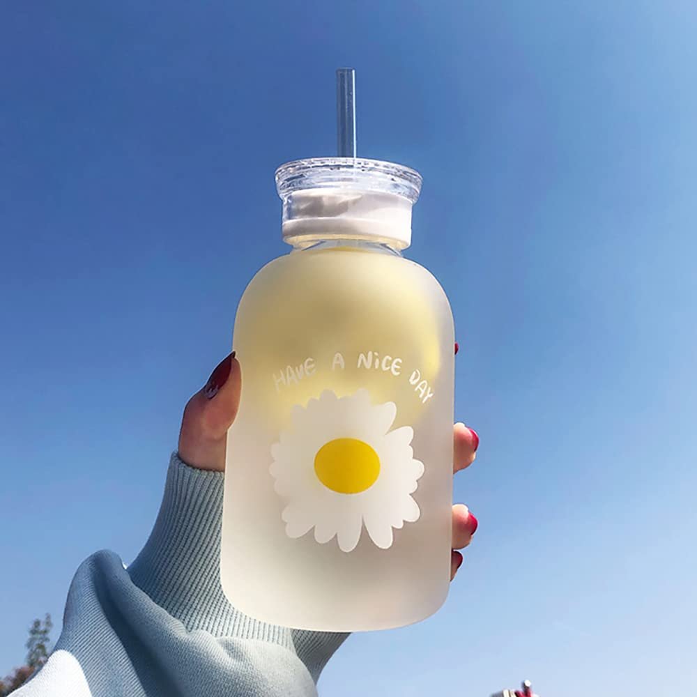 INS Creative Design 480ml Matte Wide Mouth Easy-To-Clean Borosilicate Hydrochloric Acid Glass Outdoor Sports Glass Water Bottle