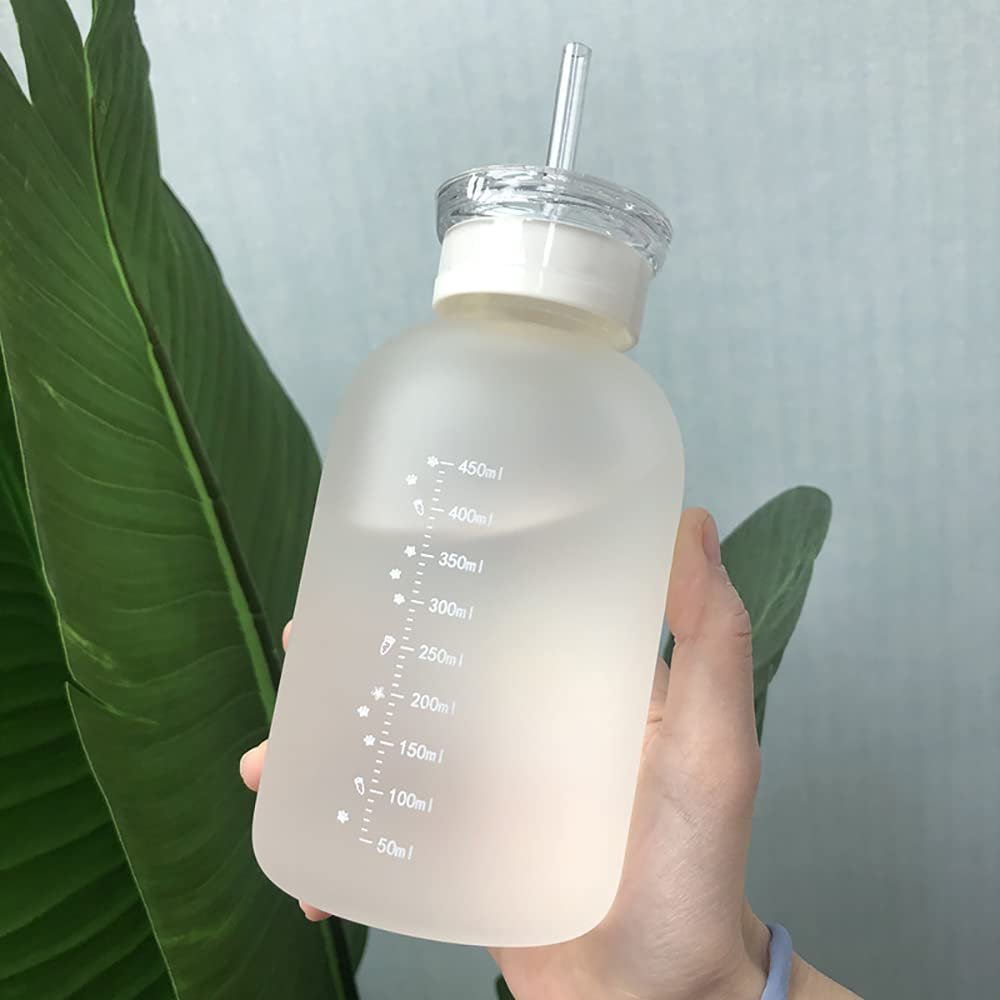 INS Creative Design 480ml Matte Wide Mouth Easy-To-Clean Borosilicate Hydrochloric Acid Glass Outdoor Sports Glass Water Bottle