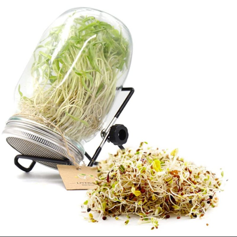 Sprouting Jar Germination Stand Stainless Steel Mesh Cover Mason Jar Glass Bottle for Plant Tissue Culture