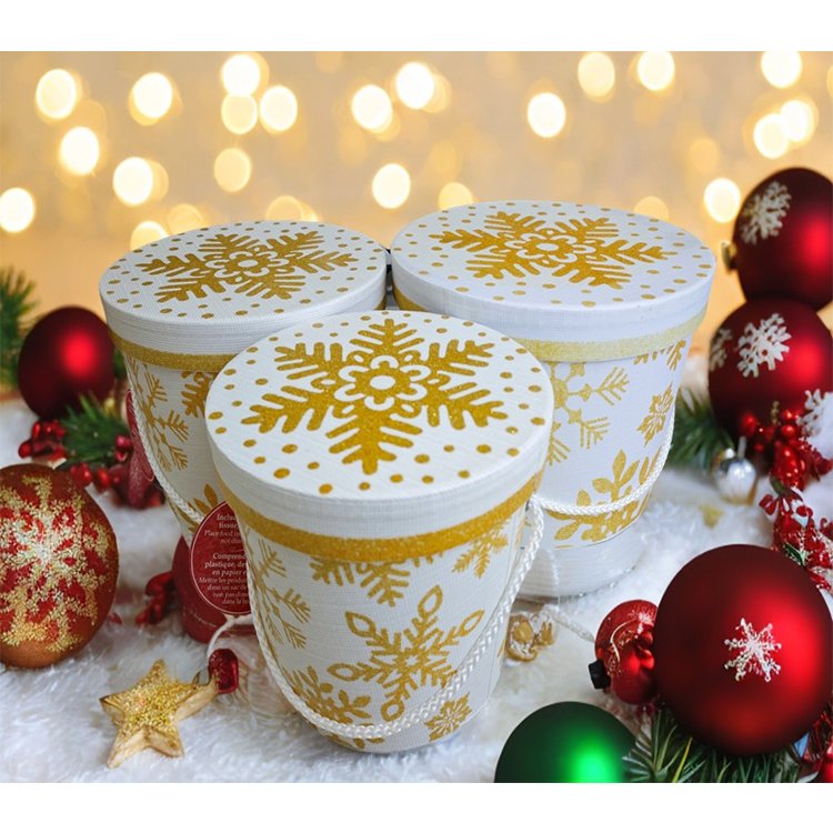 Custom Logo Luxury Rose Gift Packaging Paper Cylinder Rigid Cardboard with Hat Round Tube Gift Flower Box