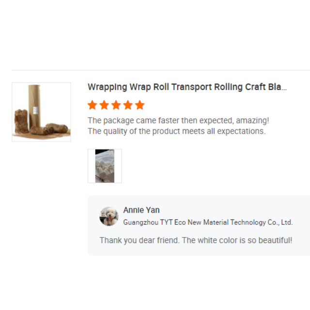 TYT Biodegradable Eco Friendly Recyclable Gift Cushioning Gift Honeycomb Kraft Paper Honeycomb Paper