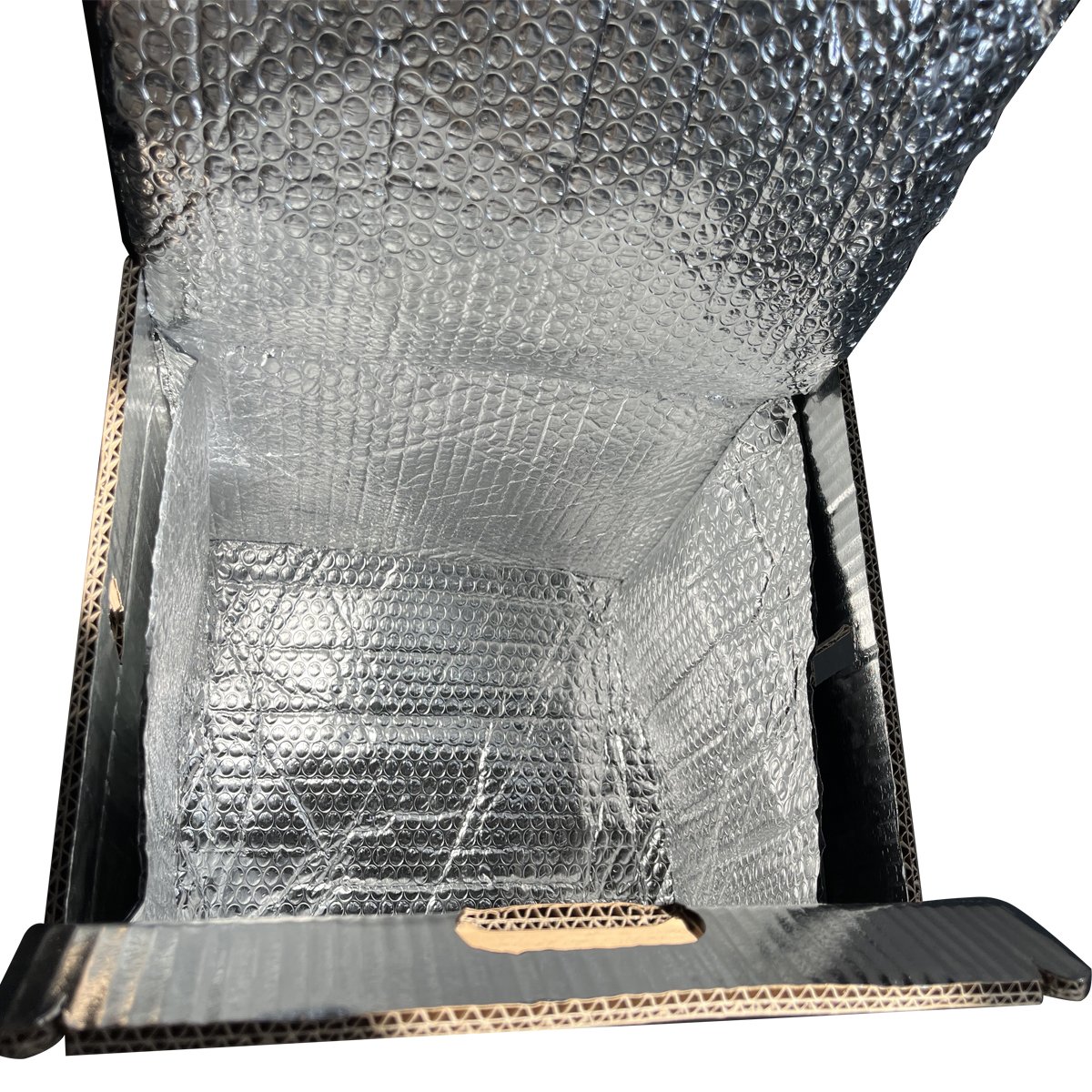 ECO-Friendly Insulation Upgraded Transport Methods for Food Fruits Vegetables Dairy Pharmaceuticals and Medical Preparations