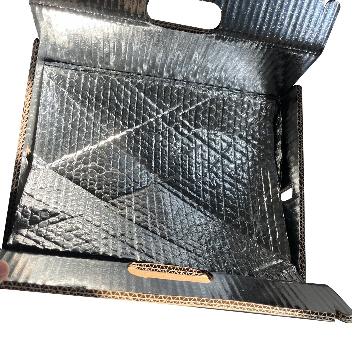 ECO-Friendly Insulation Upgraded Transport Methods for Food Fruits Vegetables Dairy Pharmaceuticals and Medical Preparations