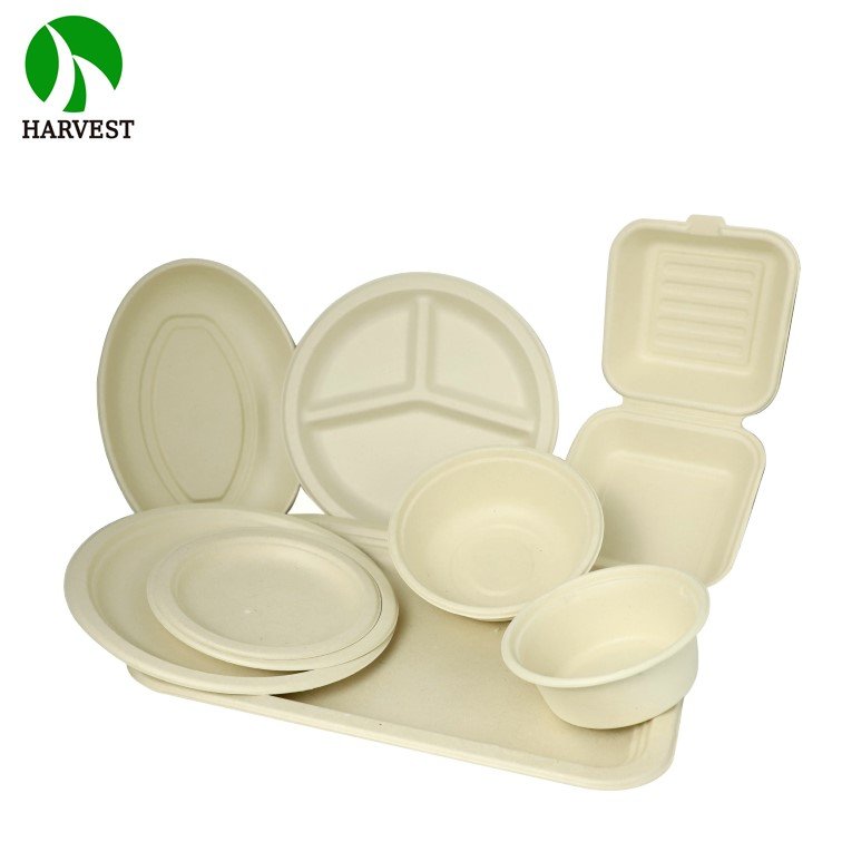 8 inch 9 inch Square Sustainable Biodegradable Eco Friendly Food Packaging
