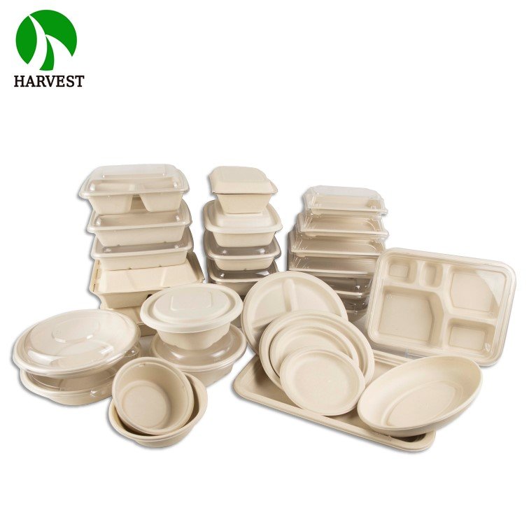 8 inch 9 inch Square Sustainable Biodegradable Eco Friendly Food Packaging