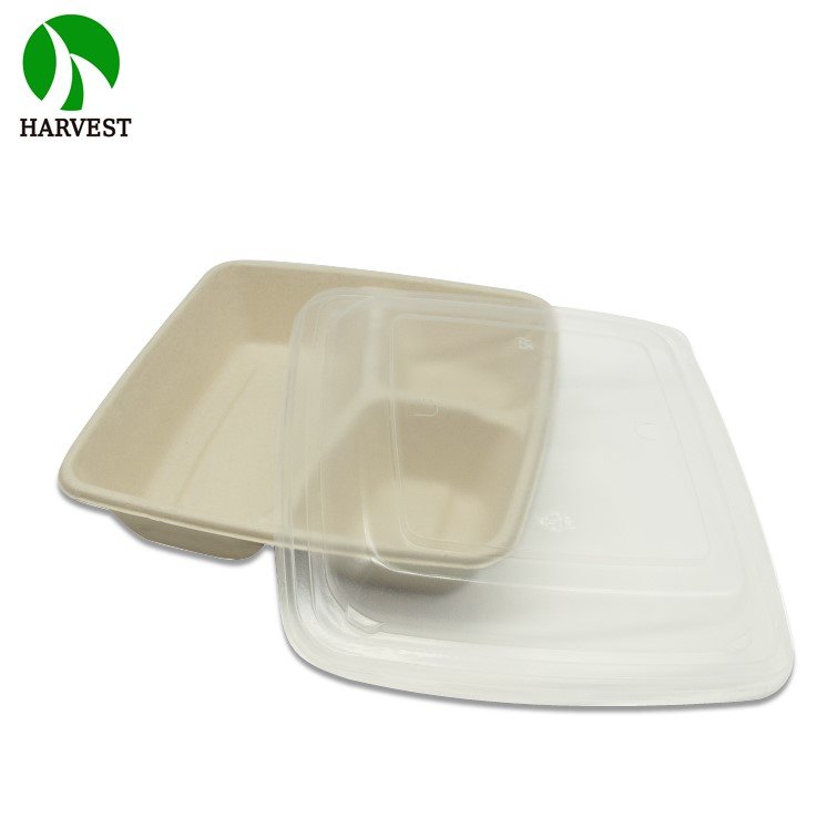 8 inch 9 inch Square Sustainable Biodegradable Eco Friendly Food Packaging