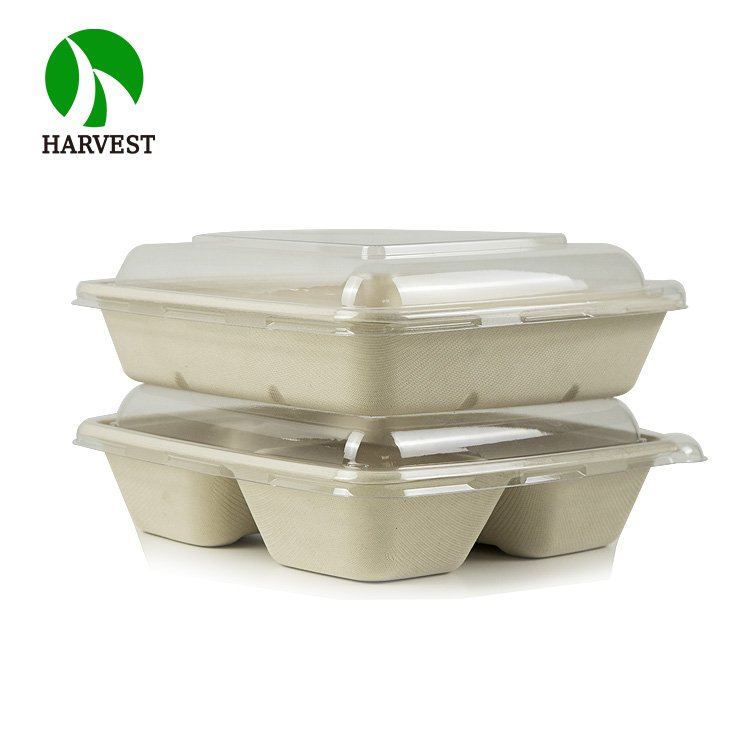 8 inch 9 inch Square Sustainable Biodegradable Eco Friendly Food Packaging