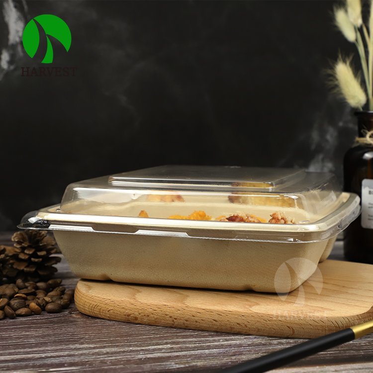 8 inch 9 inch Square Sustainable Biodegradable Eco Friendly Food Packaging