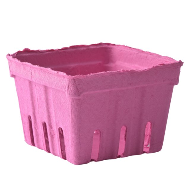 Disposable 100% Biodegradable Fruit Carton Packaging Tray