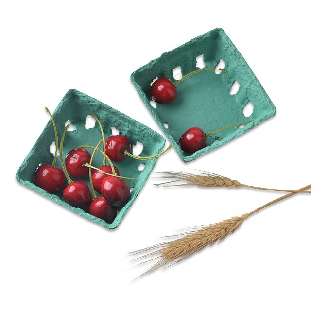 Disposable 100% Biodegradable Fruit Carton Packaging Tray