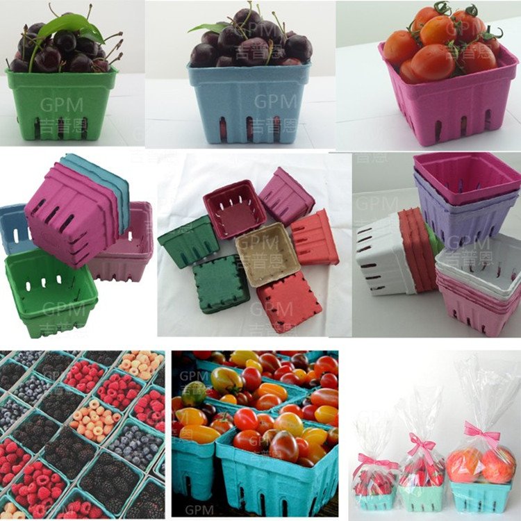 Disposable 100% Biodegradable Fruit Carton Packaging Tray