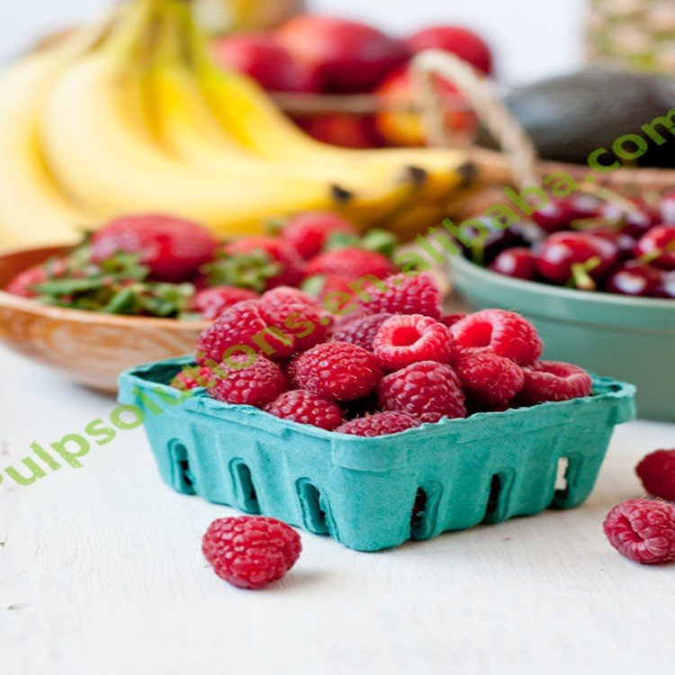 Disposable 100% Biodegradable Fruit Carton Packaging Tray