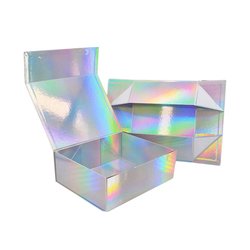 Holographic