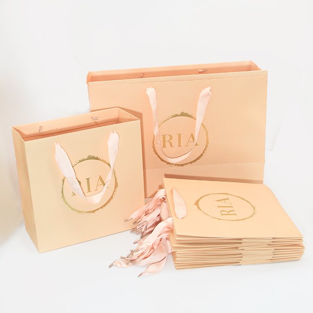 Paper Bag Custom Printed logo Luxury Clothing Shopping Paper Bags Boutique Recyclable Gift Bag With Ribbon rope