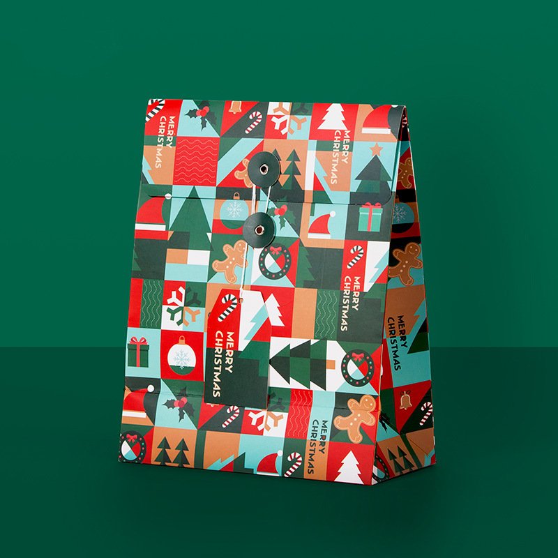 Lipack Wholesale Printed Logo Flower Paper Packaging Bags Shipping Shopping Gift Bags With Winding Button